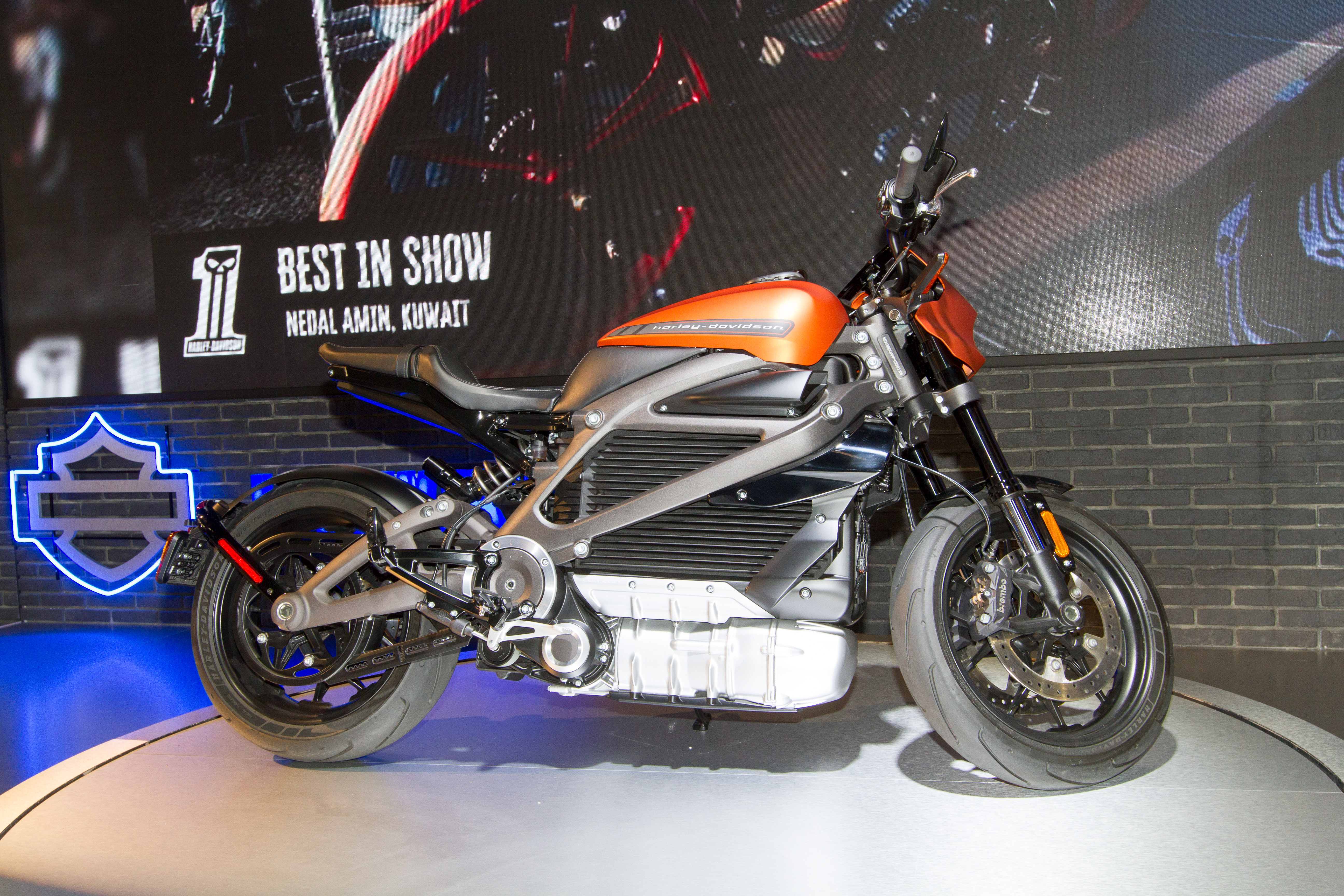2019 Harley-Davidson LiveWire