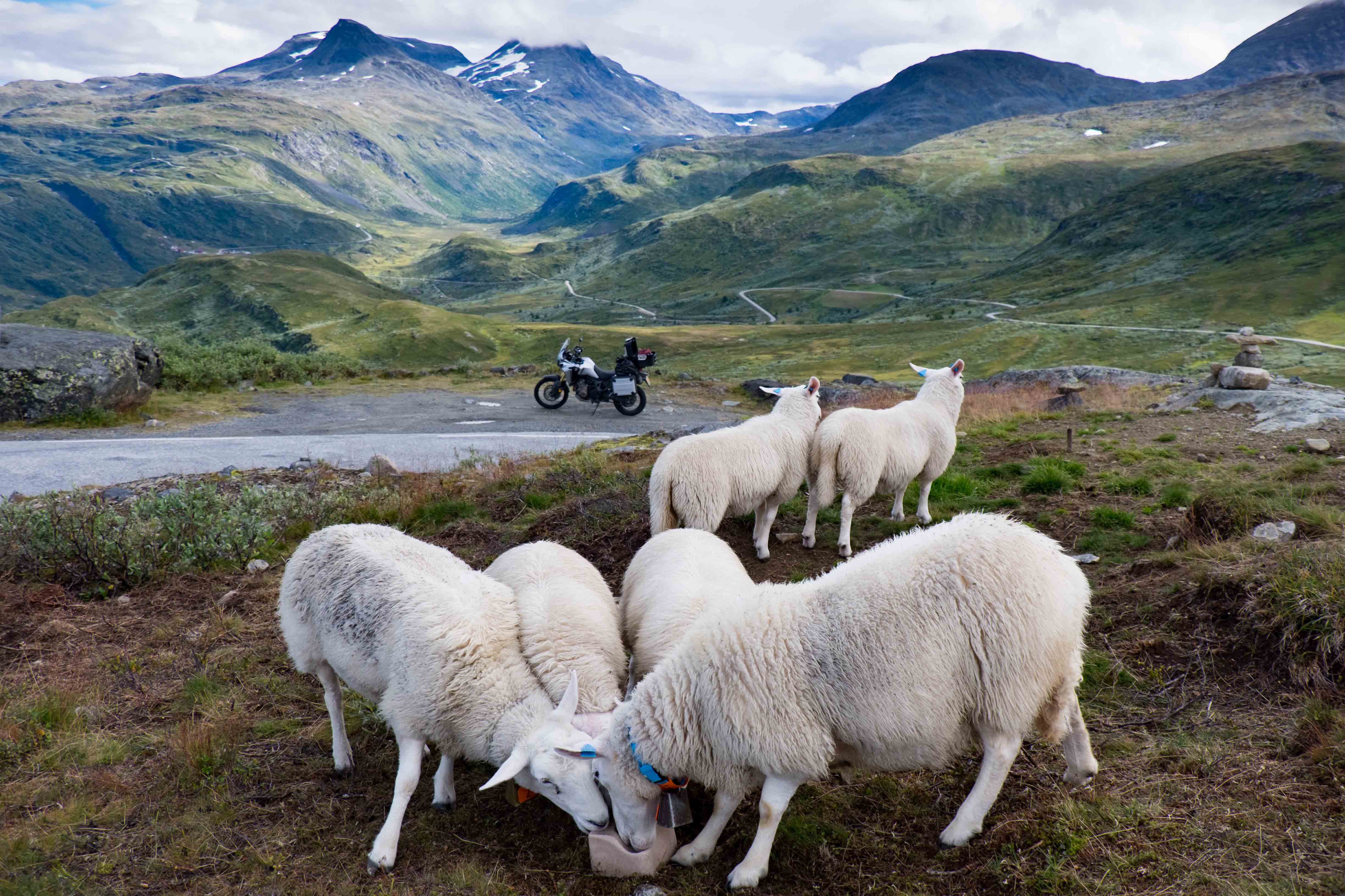 Motoreizen_promotor_reizen