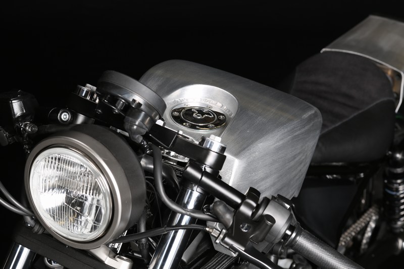 Ronda Rebel Dreams Winnaar