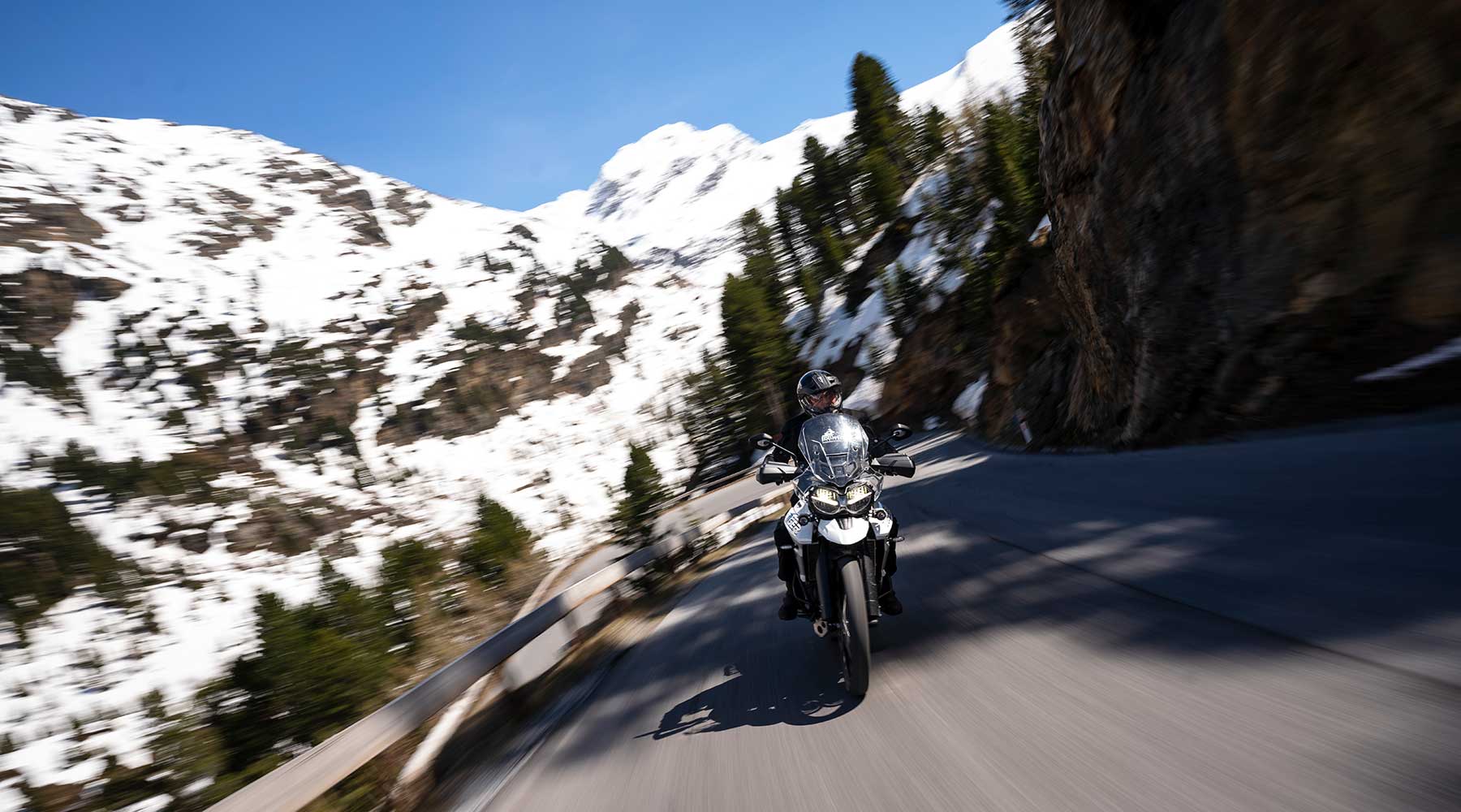 Louis Media Ride 2019