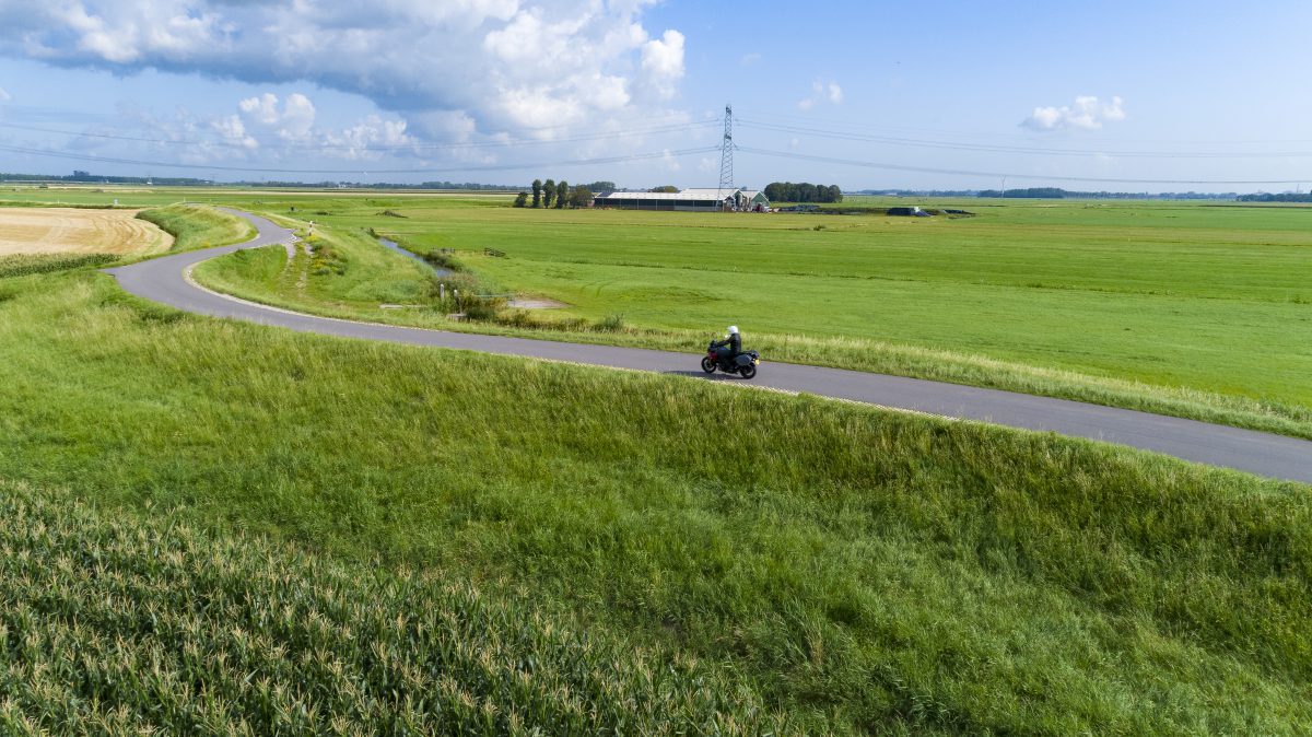 langs het tuinpad van ad ijmond jvdk