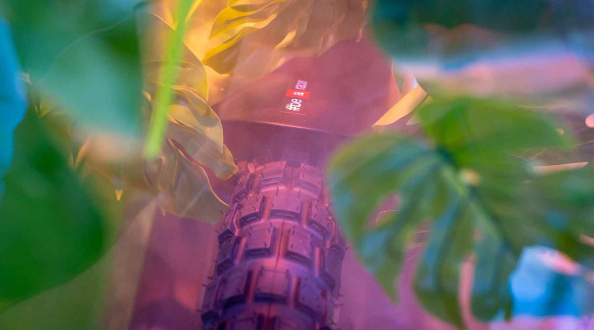 Aprilia-Tuareg-plaagbeeld