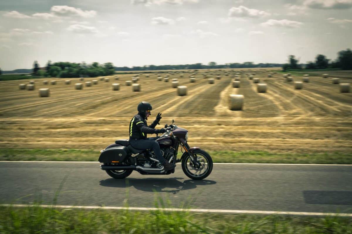 Motorroute Seelower Höhen