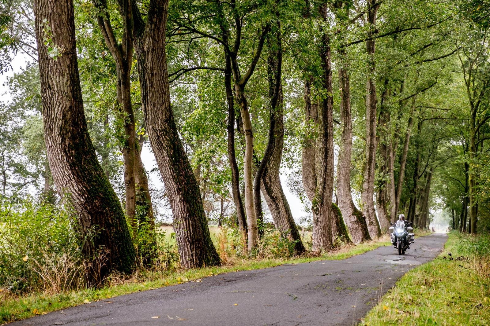 Ostfriesland