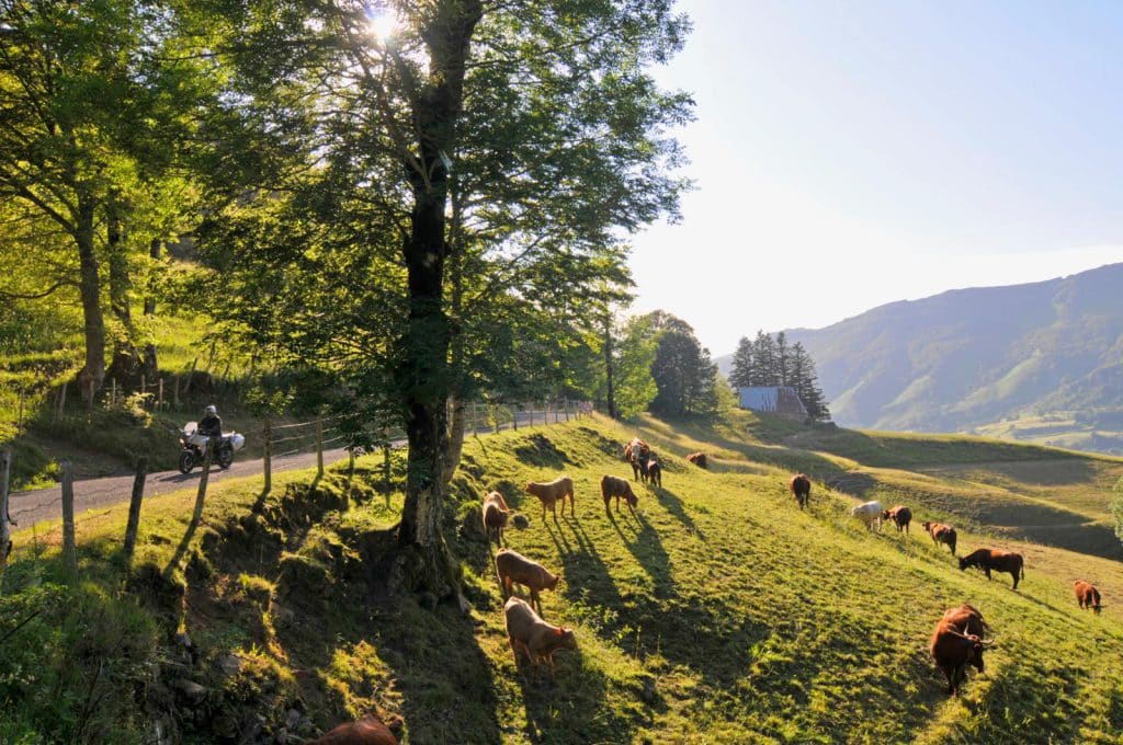 Auvergne, Frankrijk