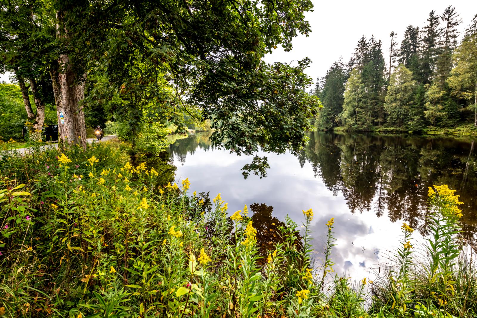 Toerisme Duitsland Main Rivier Voor Het Leven toerisme-duitsland-main-rivier-voor-het-leven
