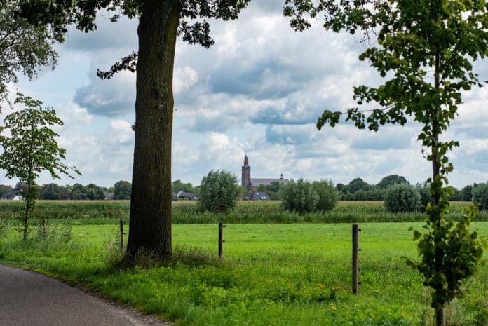 Stinkhoek