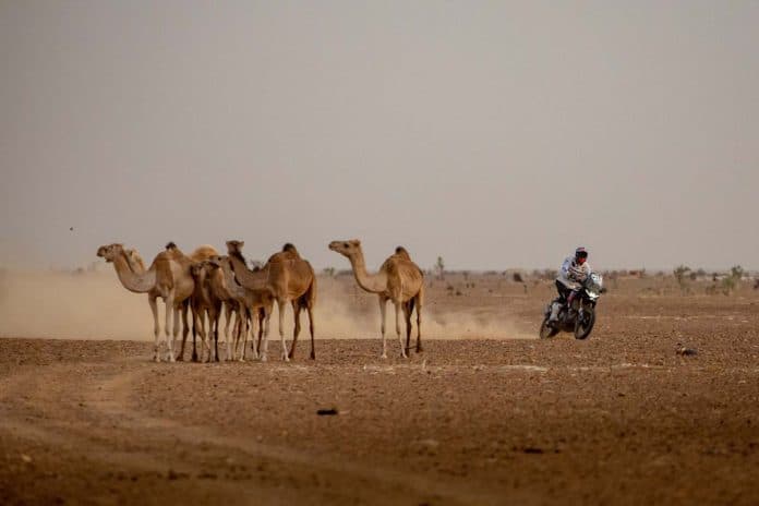 Aprilia Tuareg Jacopo Cerutti