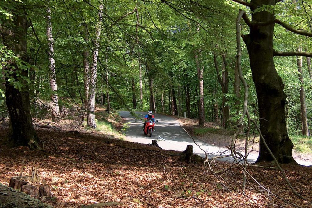 GPS-tocht Veluwe