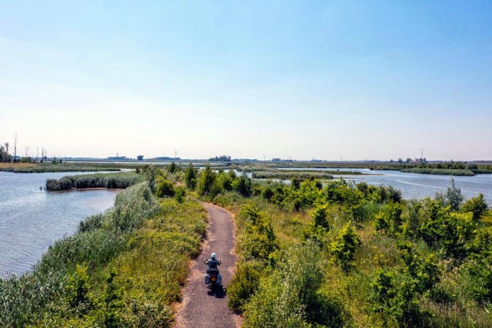 Biesbosch