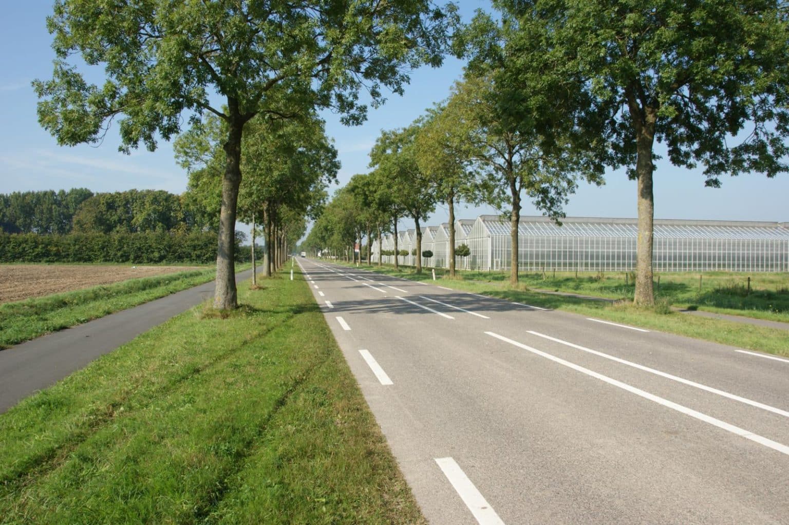 Asfalt uitgelegd: meerdere soorten met verschillende eigenschappen